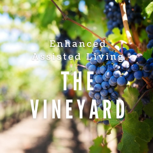 The Vineyard: Enhanced Assisted Living