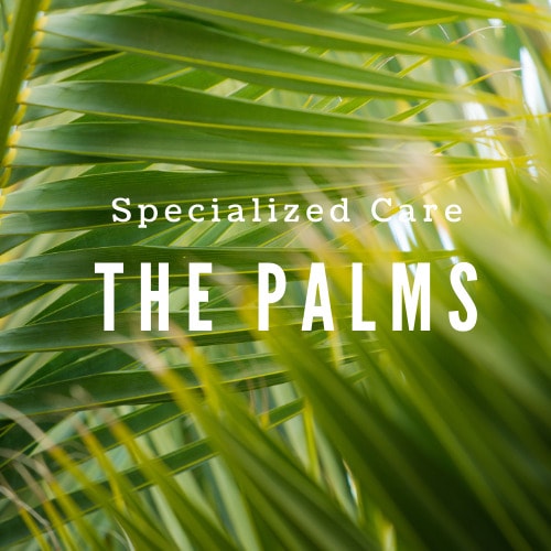 The Palms: Specialized Care