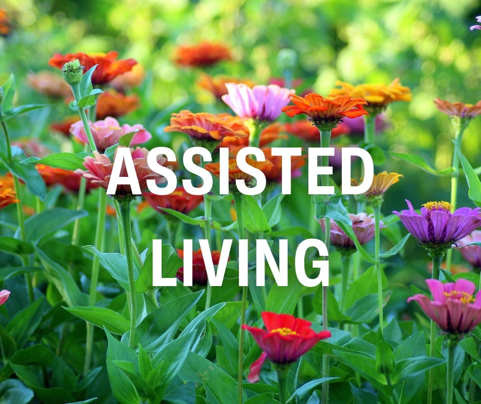 Assisted Living at Hillside Terrace in Ann Arbor