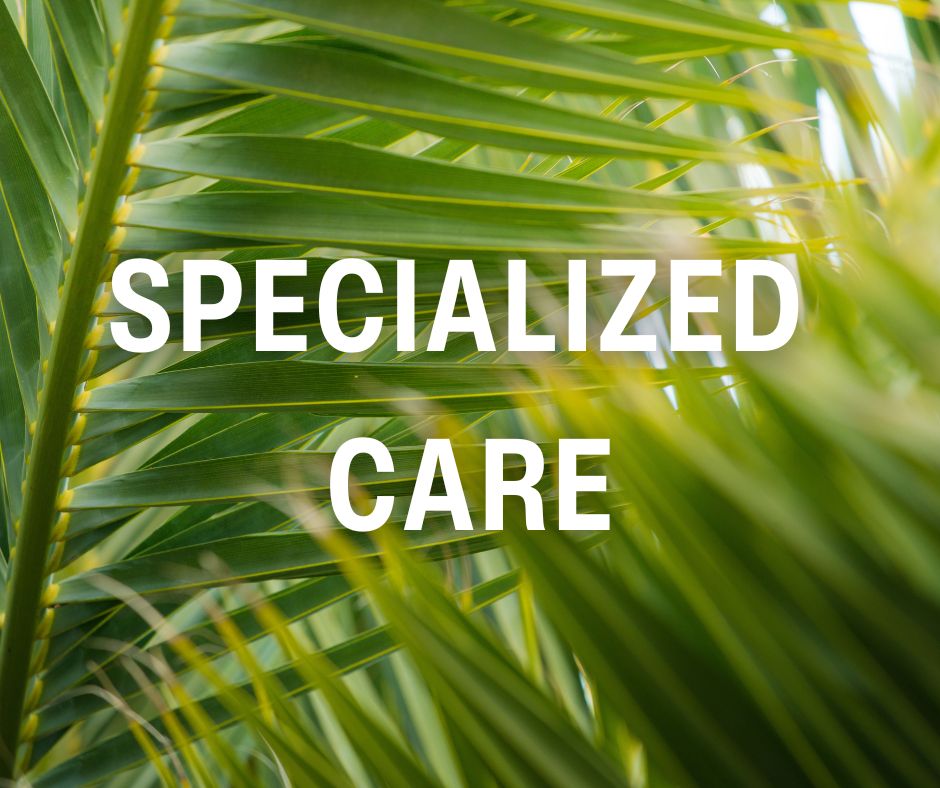 Specialized Care at Hillside Terrace in Ann Arbor